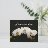 Invitation Carte Postale Orchidées blanches (Debout devant)