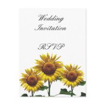 Packs de mariage peu coûteux avec tournesols Kits