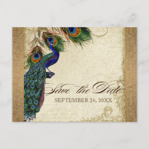 Invitation Carte Postale Paon & Plumes Aspect Doré Vintage Damassé Tourbill