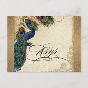 Invitation Carte Postale Paon & Plumes Vintage Aspect Doré Damassé Tourbill