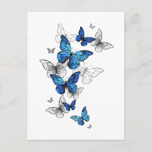 Invitation Carte Postale Papillons volants bleus Morpho (Devant)