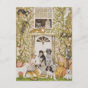 Invitation Carte Postale Partie de maison de campagne