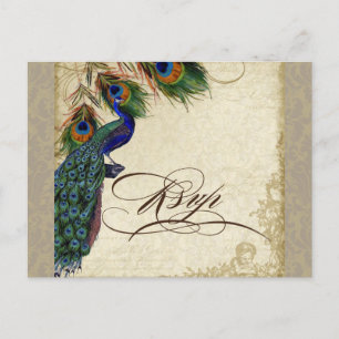 Invitation Carte Postale Peacock & Feathers Mariage officiel Réponse RSVP