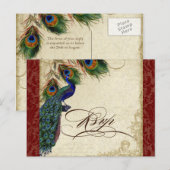 Invitation Carte Postale Peacock & Feathers Mariage officiel Réponse RSVP (Devant / Derrière)