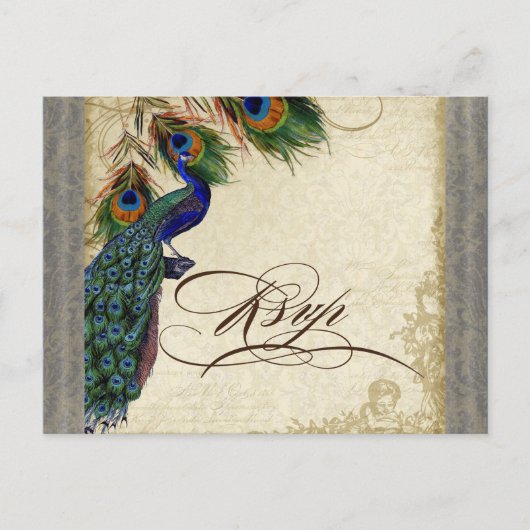 Invitation Carte Postale Peacock & Feathers Mariage officiel Réponse RSVP (Devant)
