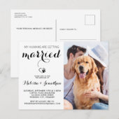 Invitation Carte Postale Photo de chien moderne simple Mariage de animal de (Devant / Derrière)