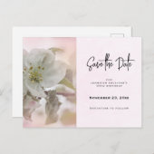 Invitation Carte Postale Photo en fleurs de pomme blanche Enregistrer la da (Devant / Derrière)