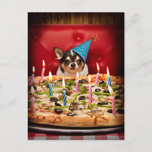 Invitation Carte Postale Pizza d'anniversaire Chihuahua (Devant)