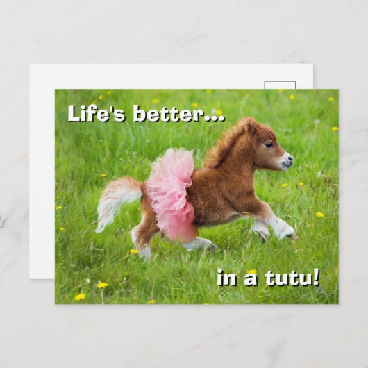 Invitation Carte Postale Pony à Tutu (Devant / Derrière)