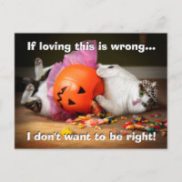 Princesse Chat avec seau de bonbons