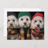 Invitation Carte Postale Pups de vacances (Devant / Derrière)