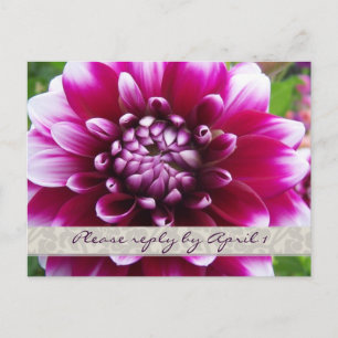 Invitation Carte Postale Purple Fuschia dahlia rsvp