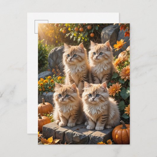 Invitation Carte Postale Quatre chatons d'automne en feuillu avec Citrouill (Devant / Derrière)