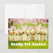 Invitation Carte Postale Rangée de lapins chiots (Devant / Derrière)