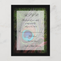 Rich Peacock Feed with Green Moss RSVP Réponse