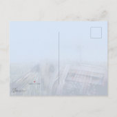 Invitation Carte Postale Robin (Dos)