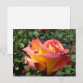 Invitation Carte Postale Rose (Devant / Derrière)