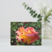 Invitation Carte Postale Rose (Debout devant)