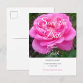 Invitation Carte Postale Rose rose romantique Mariage Enregistrer la date (Devant / Derrière)