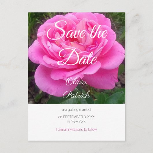 Invitation Carte Postale Rose rose romantique Mariage Enregistrer la date (Devant)