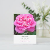 Invitation Carte Postale Rose rose romantique Mariage Enregistrer la date (Debout devant)