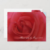 Invitation Carte Postale Rose rouge RSVP (Devant / Derrière)