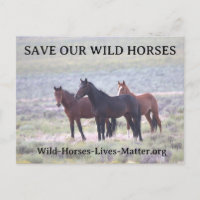 Sauvez nos chevaux sauvages