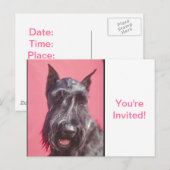 Invitation Carte Postale Scottish Terrier (Devant / Derrière)