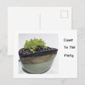 Invitation Carte Postale Sedum dans un pot triangulaire (Devant / Derrière)