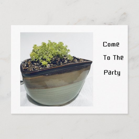 Invitation Carte Postale Sedum dans un pot triangulaire (Devant)