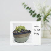 Invitation Carte Postale Sedum dans un pot triangulaire (Debout devant)