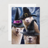 Invitation Carte Postale Sorcières Alpaga (Devant / Derrière)