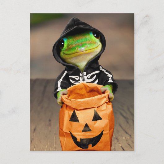 Invitation Carte Postale Squelette de Gecko (Devant)