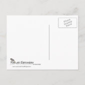 Invitation Carte Postale Starburst patriotique en rouge blanc et bleu (Dos)