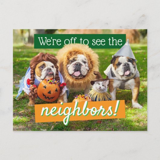 Invitation Carte Postale Trois Bulldogs en costumes (Devant)