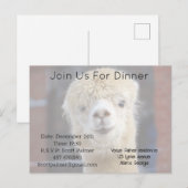 Invitation Carte Postale Visage d'alpaca mignon        (Devant / Derrière)