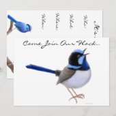 Invitation Carton d'invitation à la fête des oiseaux Malurus (Devant / Derrière)