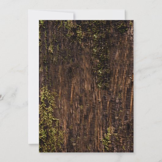 Invitation Carved Heart Country Rustic Tree Mariage (Dos)