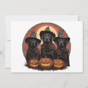 Invitation Casquettes de sorcière pour chiens de trieuse d'Ha