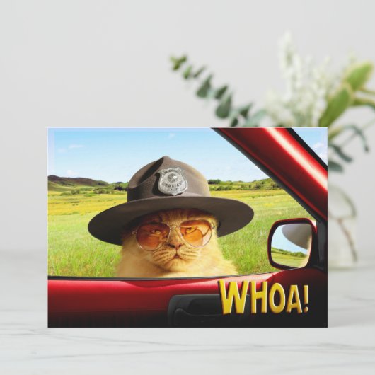 Invitation Cat (Debout devant)