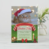 Invitation Cat and Christmas lights (Debout devant)