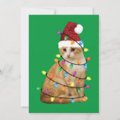 Invitation Cat Christmas Tree Père Noël Funny Xmas Amoureux d (Devant)