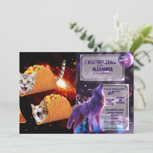 Invitation Cats inside space tacos (Debout devant)