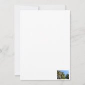 Invitation cèdre recouvert de mousse d'Espagne (Dos)