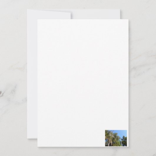 Invitation cèdre recouvert de mousse d'Espagne (Dos)