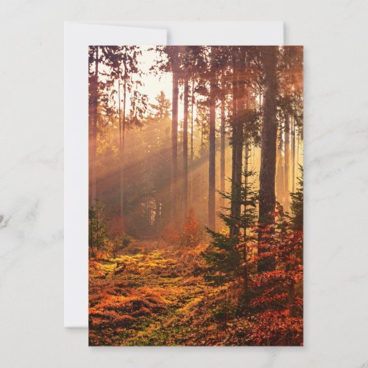 Invitation Célébration de la forêt automnale (Dos)