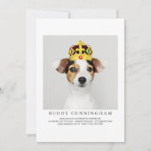 Invitation Célébration de la vie Simple Elegant Pet Photo (Devant)