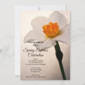 Invitation Célébration de l'équinoxe de printemps au narcisse (Devant)