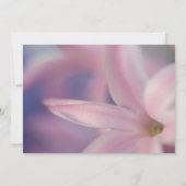 Invitation Célébration de l'équinoxe de printemps de la jacin (Dos)