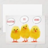 INVITATION "CÉLÉBRATION DE PÂQUES AVEC LE PARLEMENT DE POULET (Devant / Derrière)